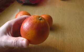 Как называется гибрид мандарина и грейпфрута