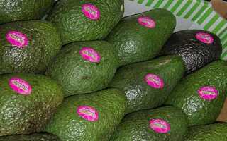 Стоимость плодов авокадо