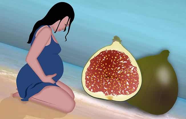 Инжир во время беременности: полезные свойства и противопоказания. Инжир при беременности: лекарственные свойства южного фрукта