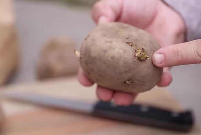 Противопоказания при лечении соком картофеля thumbnail