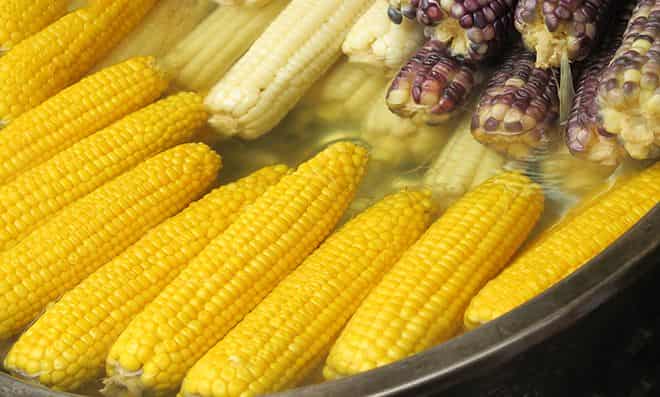 Где выращивают кукурузу в России?